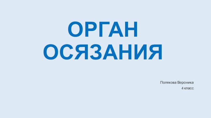 ОРГАН  ОСЯЗАНИЯПолякова Вероника 4 класс