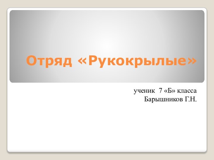 Отряд «Рукокрылые» ученик 7 «Б» классаБарышников Г.Н.