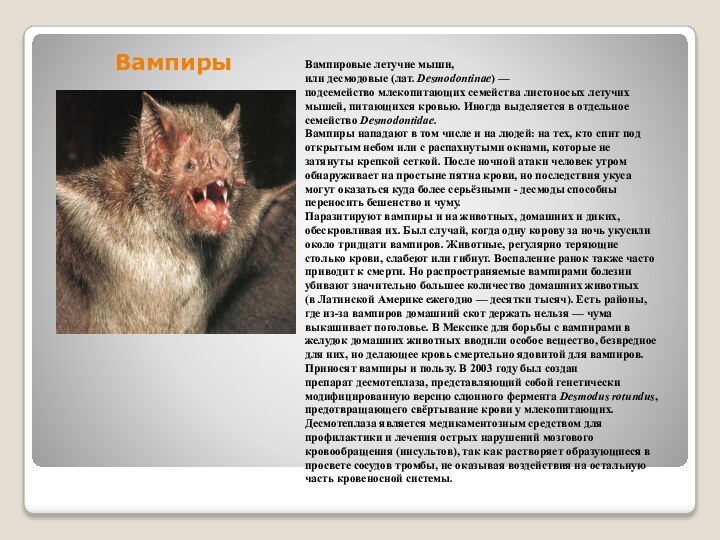 ВампирыВампировые летучие мыши, или десмодовые (лат. Desmodontinae) — подсемейство млекопитающих семейства листоносых летучих мышей, питающихся кровью. Иногда выделяется в