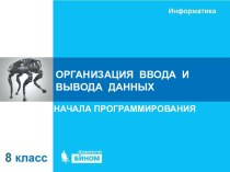 Организация ввода и вывода данных. Начала программирования