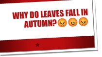 Why do leaves fall in autumn