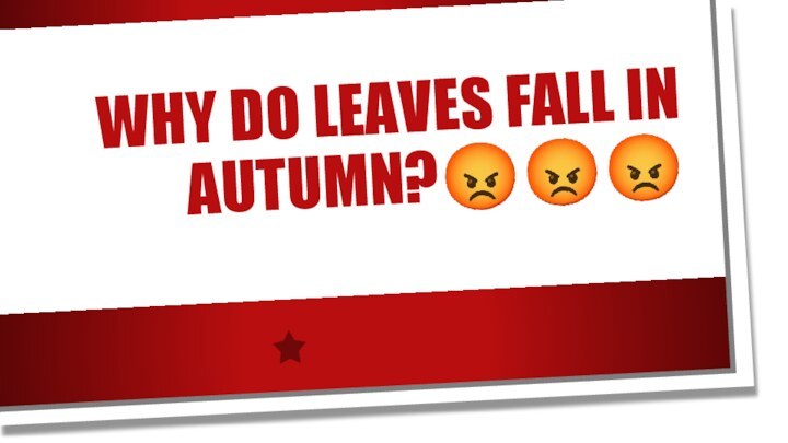 WHY DO LEAVES FALL IN AUTUMN????