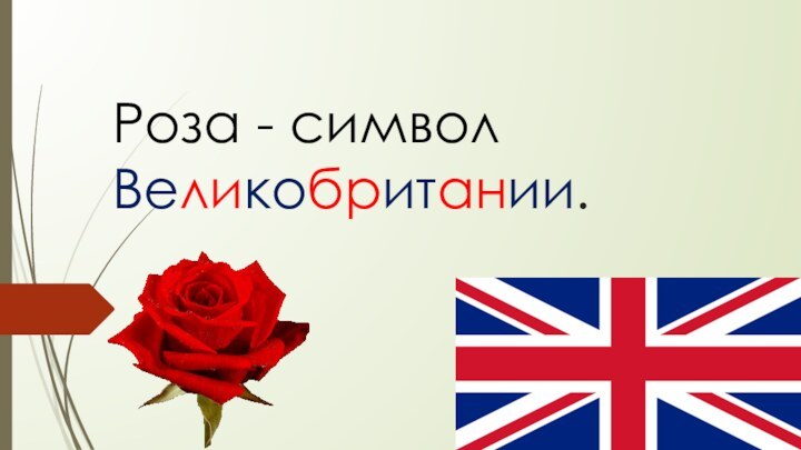 Роза - символ Великобритании.