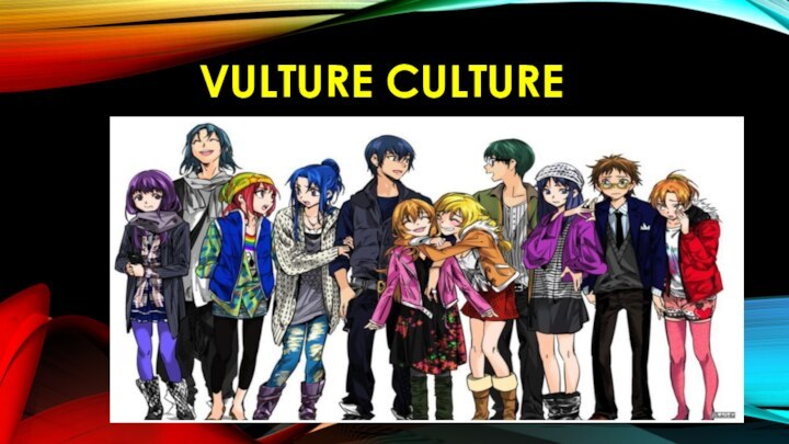 VULTURE CULTURE