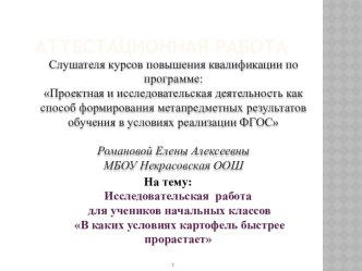 Аттестационная работа. Исследовательская работа для учеников начальных классов В каких условиях картофель быстрее прорастает