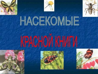 Насекомые Красной книги