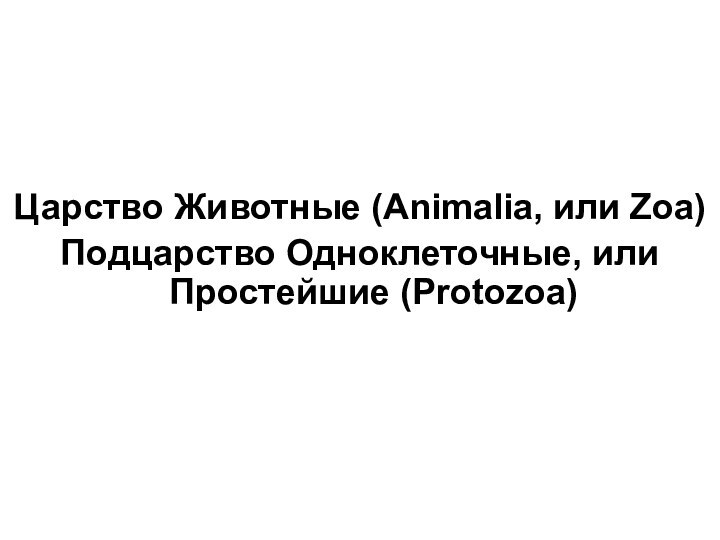 Царство Животные (Animalia, или Zoa) Подцарство Одноклеточные, или Простейшие (Protozoa)