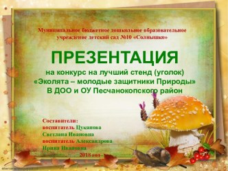 Конкурс на лучший стенд (уголок) Эколята – молодые защитники природы в ДОО и ОУ Песчанокопского района