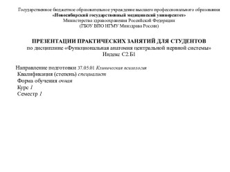 Анатомия человека. Спинной мозг. Топография белого и серого вещества. Оболочки и межоболочечные пространства. (Тема 1.2)