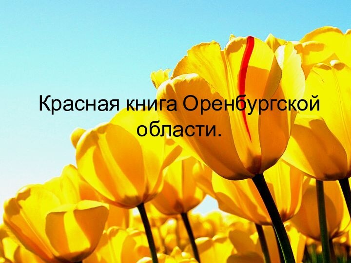 Красная книга Оренбургской области.