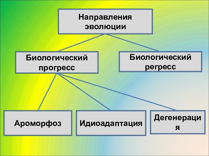 Направления эволюцииБиологический прогрессБиологический регрессДегенерацияИдиоадаптацияАроморфоз