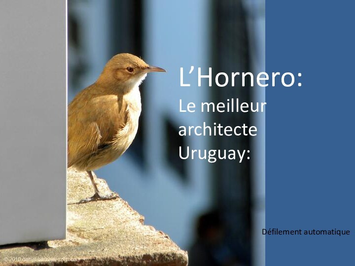 L’Hornero:Le meilleur architecteUruguay:Défilement automatique