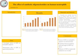 The effect of sunthetic oligonucleotides on human neutrophils