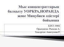 Мыс концентраттарын балқыту УОРКРА,НОРАНДА және Мицубиси әдістері бойынша