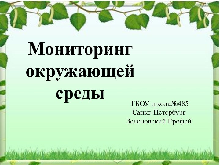 ГБОУ школа№485Санкт-ПетербургЗеленовский ЕрофейМониторинг окружающей среды