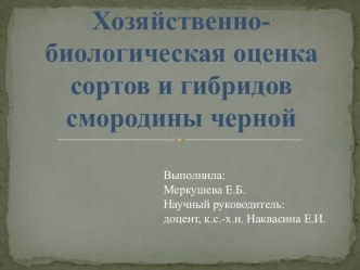 Хозяйственнобиологическая оценка сортов и гибридов смородины черной