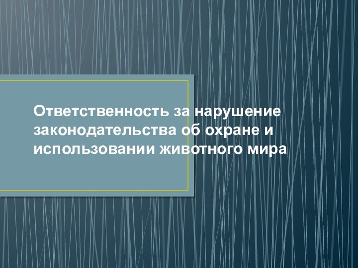 Ответственность за нарушение законодательства об охране и использовании животного мира