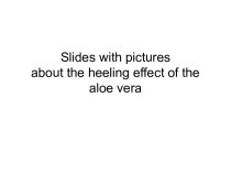 Slides with pictures about the heeling effect of the aloe vera