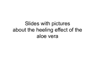 Slides with pictures about the heeling effect of the aloe vera