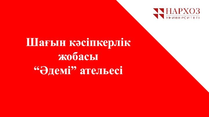 Шағын кәсіпкерлік жобасы “Әдемі” ательесі