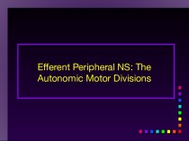 Efferent peripheral NS: the autonomic votor divisions