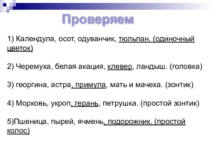 1) Календула, осот, одуванчик, тюльпан. (одиночный цветок)  2) Черемуха, белая акация,