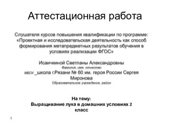 Аттестационная работа. Выращивание лука в домашних условиях. (2 класс)