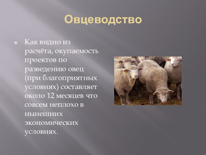 ОвцеводствоКак видно из расчёта, окупаемость проектов по разведению овец (при благоприятных условиях)