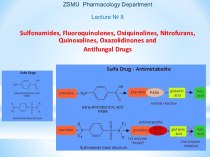 Sulfonamides, fluoroquinolones, oxiquinolines, nitrofurans, quinoxalines, oxazolidinones and antifungal drugs