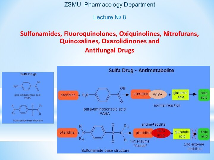 ZSMU Pharmacology Department  Lecture № 8Sulfonamides, Fluoroquinolones, Oxiquinolines, Nitrofurans, Quinoxalines, Oxazolidinones and Antifungal Drugs
