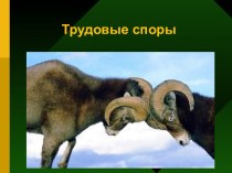 Трудовые споры