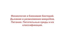 Физиология и биохимия бактерий. Дыхание и размножение микробов. Питание