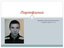 Портфолио Щербаков Дмитрий Вадимович