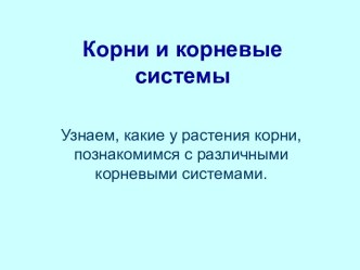 Корни и корневые системы