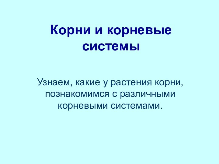 Корни и корневые системыУзнаем, какие у растения корни, познакомимся с различными корневыми системами.