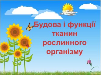 Будова і функції тканин рослинного організму