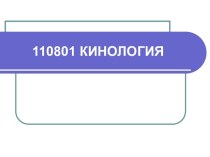 Кинология. Специфика работы кинолога