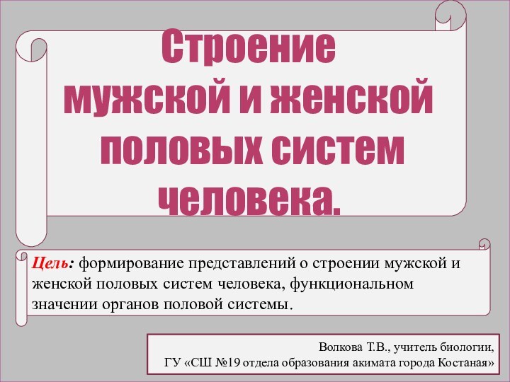 Строение мужской и женской половых систем человека. Цель: формирование представлений о строении