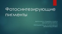 Фотосинтезирующие пигменты