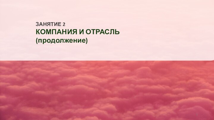 ЗАНЯТИЕ 2КОМПАНИЯ И ОТРАСЛЬ(продолжение)