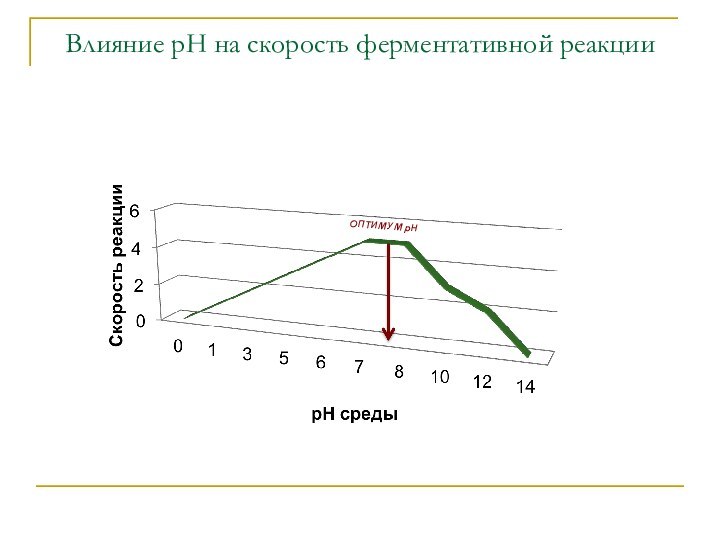 Влияние рН на скорость ферментативной реакцииОПТИМУМ рН