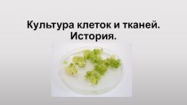 Культура клеток и тканей