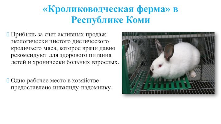 «Кролиководческая ферма» в Республике КомиПрибыль за счет активных продаж экологически чистого диетического