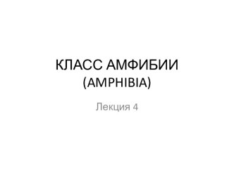 Класс земноводные, или амфибии (amphibia)