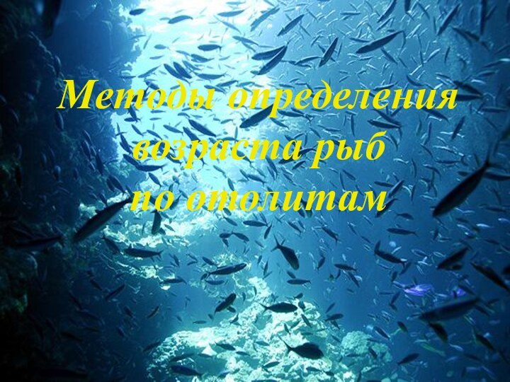 Методы определения возраста рыб  по отолитам