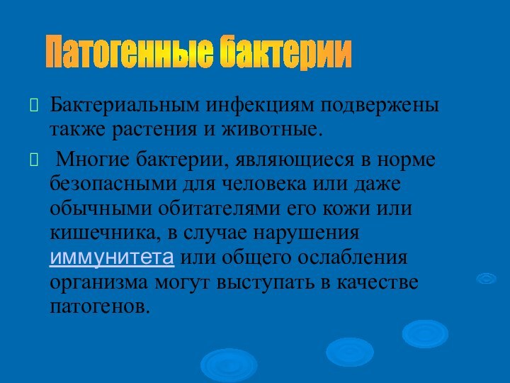 Бактериальным инфекциям подвержены также растения и животные. Многие бактерии, являющиеся в норме