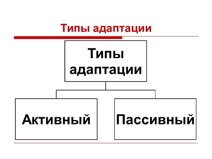 Типы адаптации