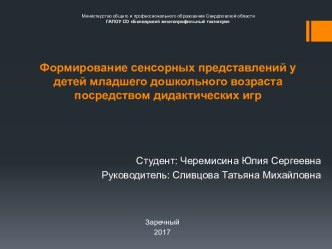 Формирование сенсорных представлений у детей младшего дошкольного возраста посредством дидактических игр