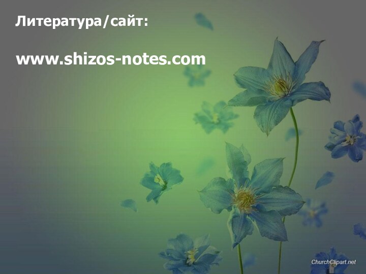 Литература/сайт:www.shizos-notes.com