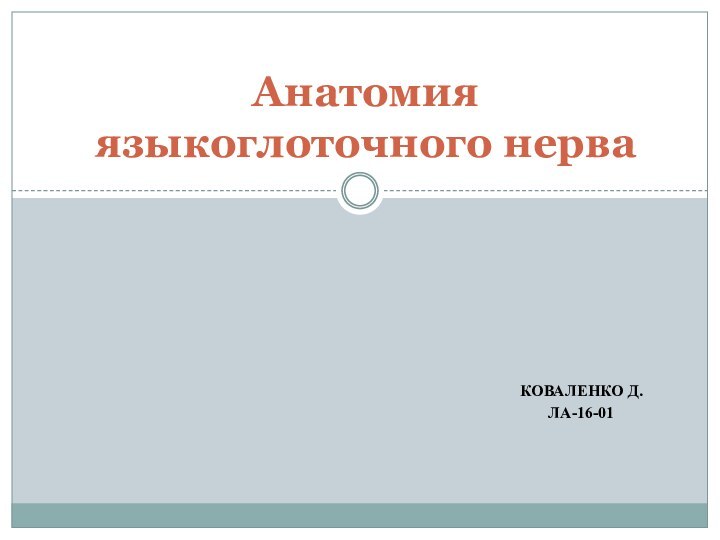 КОВАЛЕНКО Д.ЛА-16-01Анатомия языкоглоточного нерва